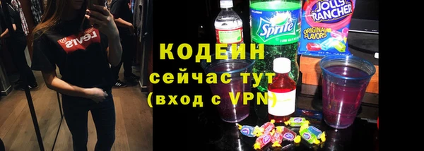спиды Бородино